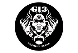 G13 Labs